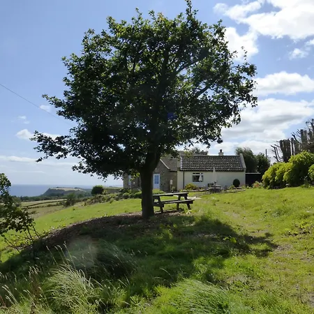 Meadow * سكرابورو