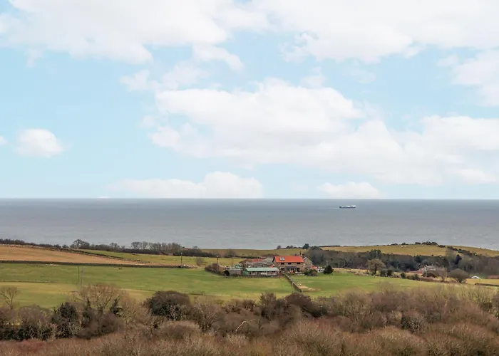 Meadow * سكرابورو